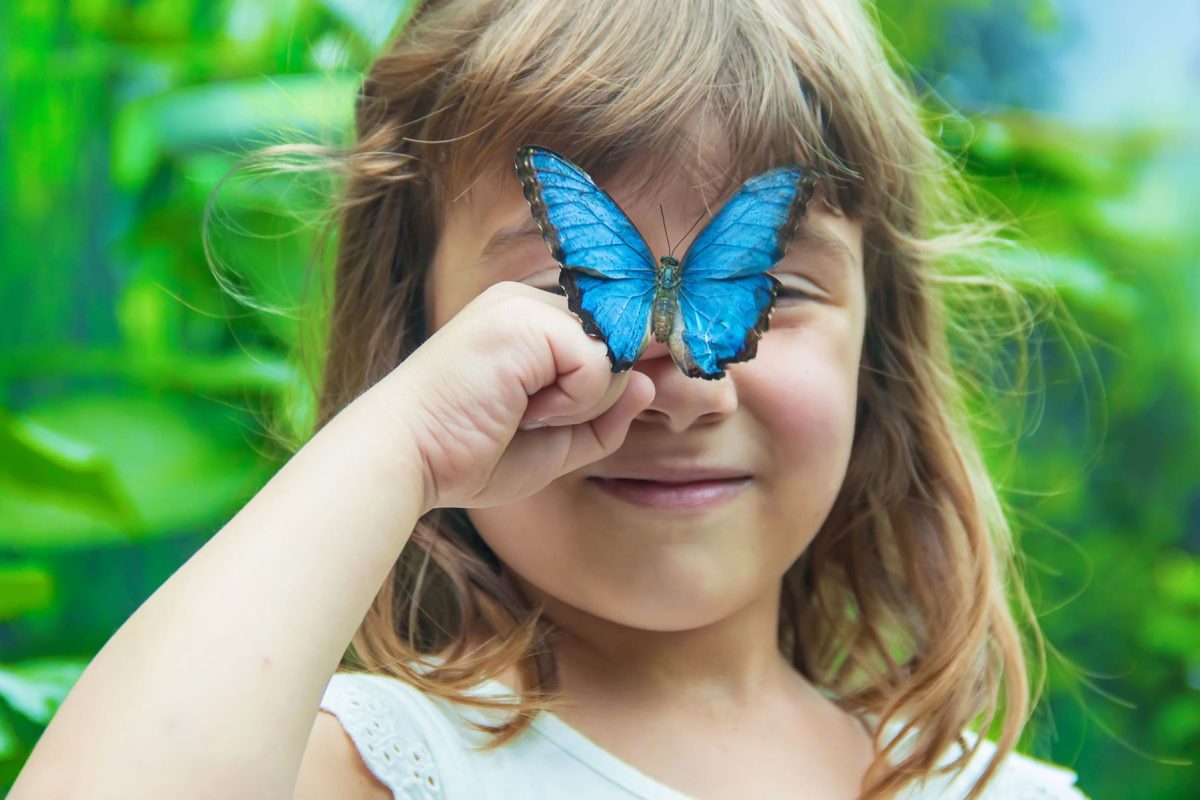 butterfly place in Branson MO