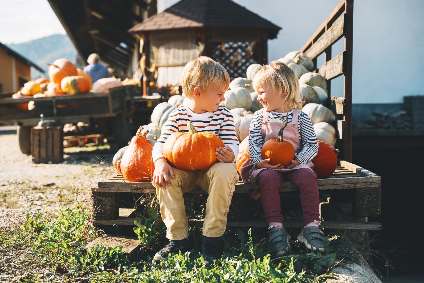 Fall harvest in Branson Missouri